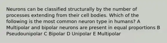 Neurons can be classified structurally by the number of processes extending from their cell bodies. Which of the following is the most common neuron type in humans? A Multipolar and bipolar neurons are present in equal proportions B Pseudounipolar C Bipolar D Unipolar E Multipolar