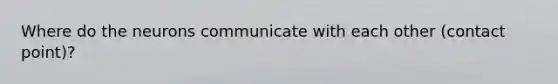 Where do the neurons communicate with each other (contact point)?