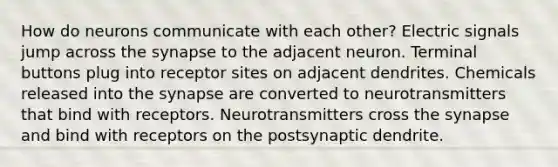 How do neurons communicate with each other? Electric signals jump across the synapse to the adjacent neuron. Terminal buttons plug into receptor sites on adjacent dendrites. Chemicals released into the synapse are converted to neurotransmitters that bind with receptors. Neurotransmitters cross the synapse and bind with receptors on the postsynaptic dendrite.