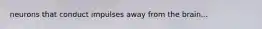 neurons that conduct impulses away from the brain...