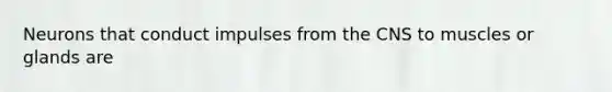Neurons that conduct impulses from the CNS to muscles or glands are