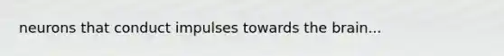 neurons that conduct impulses towards the brain...