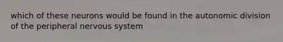 which of these neurons would be found in the autonomic division of the peripheral nervous system