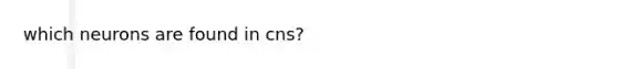 which neurons are found in cns?