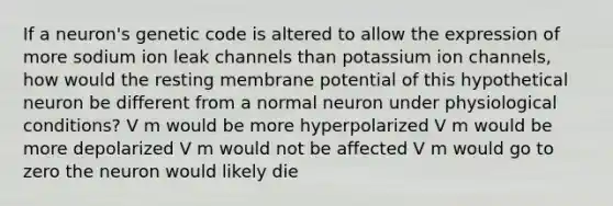 If a neuron's genetic code is altered to allow the expression of more sodium ion leak channels than potassium ion channels, how would the resting membrane potential of this hypothetical neuron be different from a normal neuron under physiological conditions? V m would be more hyperpolarized V m would be more depolarized V m would not be affected V m would go to zero the neuron would likely die