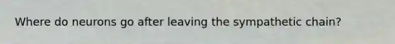 Where do neurons go after leaving the sympathetic chain?