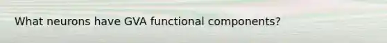 What neurons have GVA functional components?