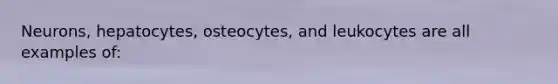 Neurons, hepatocytes, osteocytes, and leukocytes are all examples of: