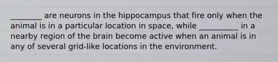 ________ are neurons in the hippocampus that fire only when the animal is in a particular location in space, while __________ in a nearby region of the brain become active when an animal is in any of several grid-like locations in the environment.