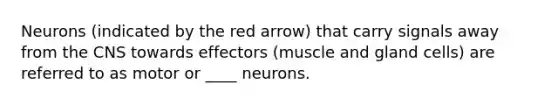 Neurons (indicated by the red arrow) that carry signals away from the CNS towards effectors (muscle and gland cells) are referred to as motor or ____ neurons.