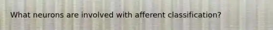 What neurons are involved with afferent classification?