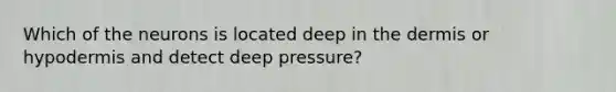 Which of the neurons is located deep in the dermis or hypodermis and detect deep pressure?