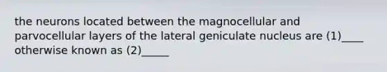 the neurons located between the magnocellular and parvocellular layers of the lateral geniculate nucleus are (1)____ otherwise known as (2)_____