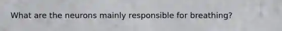 What are the neurons mainly responsible for breathing?