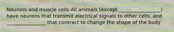 Neurons and muscle cells All animals (except _________________) have neurons that transmit electrical signals to other cells, and ________________ that contract to change the shape of the body