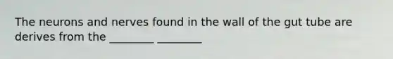 The neurons and nerves found in the wall of the gut tube are derives from the ________ ________