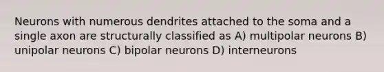 Neurons with numerous dendrites attached to the soma and a single axon are structurally classified as A) multipolar neurons B) unipolar neurons C) bipolar neurons D) interneurons