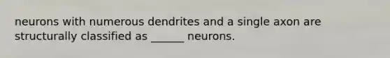 neurons with numerous dendrites and a single axon are structurally classified as ______ neurons.