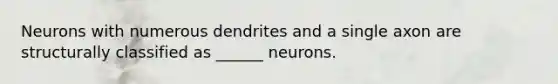 Neurons with numerous dendrites and a single axon are structurally classified as ______ neurons.