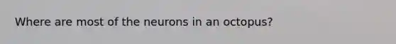 Where are most of the neurons in an octopus?