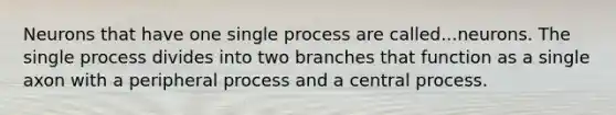 Neurons that have one single process are called...neurons. The single process divides into two branches that function as a single axon with a peripheral process and a central process.