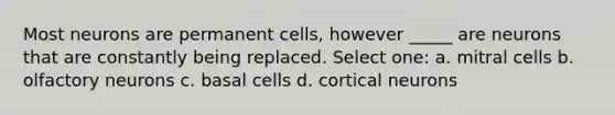 Most neurons are permanent cells, however _____ are neurons that are constantly being replaced. Select one: a. mitral cells b. olfactory neurons c. basal cells d. cortical neurons