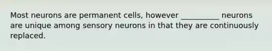 Most neurons are permanent cells, however __________ neurons are unique among sensory neurons in that they are continuously replaced.