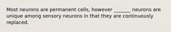 Most neurons are permanent cells, however _______ neurons are unique among sensory neurons in that they are continuously replaced.