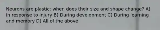 Neurons are plastic; when does their size and shape change? A) In response to injury B) During development C) During learning and memory D) All of the above