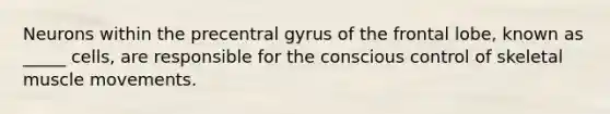 Neurons within the precentral gyrus of the frontal lobe, known as _____ cells, are responsible for the conscious control of skeletal muscle movements.