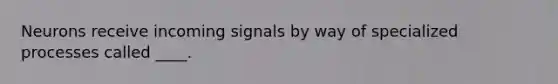 Neurons receive incoming signals by way of specialized processes called ____.