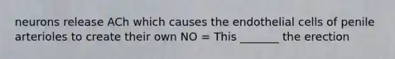 neurons release ACh which causes the endothelial cells of penile arterioles to create their own NO = This _______ the erection