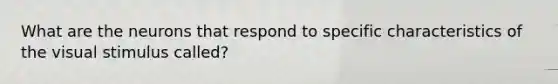 What are the neurons that respond to specific characteristics of the visual stimulus called?