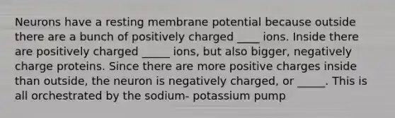 Neurons have a resting membrane potential because outside there are a bunch of positively charged ____ ions. Inside there are positively charged _____ ions, but also bigger, negatively charge proteins. Since there are more positive charges inside than outside, the neuron is negatively charged, or _____. This is all orchestrated by the sodium- potassium pump