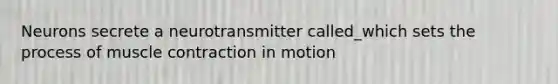 Neurons secrete a neurotransmitter called_which sets the process of <a href='https://www.questionai.com/knowledge/k0LBwLeEer-muscle-contraction' class='anchor-knowledge'>muscle contraction</a> in motion