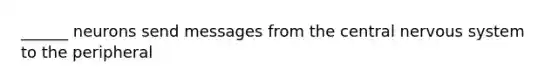 ______ neurons send messages from the central nervous system to the peripheral