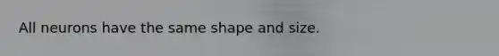 All neurons have the same shape and size.