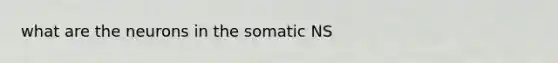 what are the neurons in the somatic NS