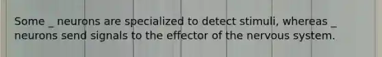 Some _ neurons are specialized to detect stimuli, whereas _ neurons send signals to the effector of the nervous system.