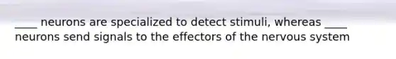 ____ neurons are specialized to detect stimuli, whereas ____ neurons send signals to the effectors of the nervous system