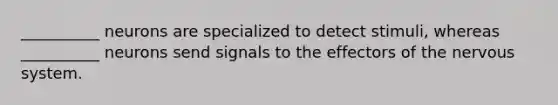 __________ neurons are specialized to detect stimuli, whereas __________ neurons send signals to the effectors of the nervous system.