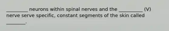 _________ neurons within spinal nerves and the __________ (V) nerve serve specific, constant segments of the skin called ________.