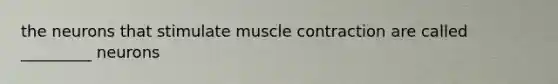 the neurons that stimulate <a href='https://www.questionai.com/knowledge/k0LBwLeEer-muscle-contraction' class='anchor-knowledge'>muscle contraction</a> are called _________ neurons