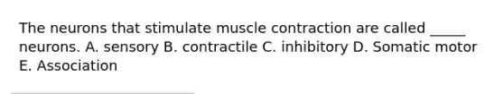 The neurons that stimulate muscle contraction are called _____ neurons. A. sensory B. contractile C. inhibitory D. Somatic motor E. Association