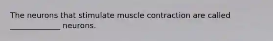 The neurons that stimulate muscle contraction are called _____________ neurons.