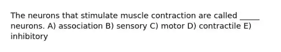 The neurons that stimulate muscle contraction are called _____ neurons. A) association B) sensory C) motor D) contractile E) inhibitory