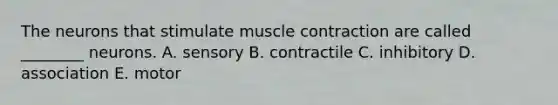 The neurons that stimulate muscle contraction are called ________ neurons. A. sensory B. contractile C. inhibitory D. association E. motor