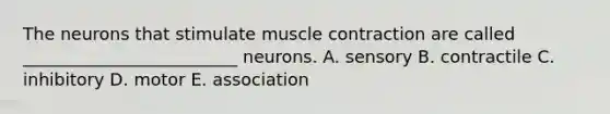 The neurons that stimulate muscle contraction are called _________________________ neurons. A. sensory B. contractile C. inhibitory D. motor E. association