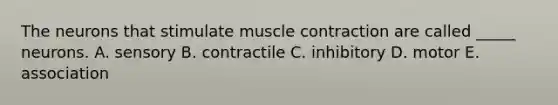 The neurons that stimulate muscle contraction are called _____ neurons. A. sensory B. contractile C. inhibitory D. motor E. association