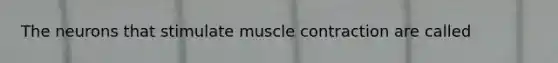 The neurons that stimulate muscle contraction are called